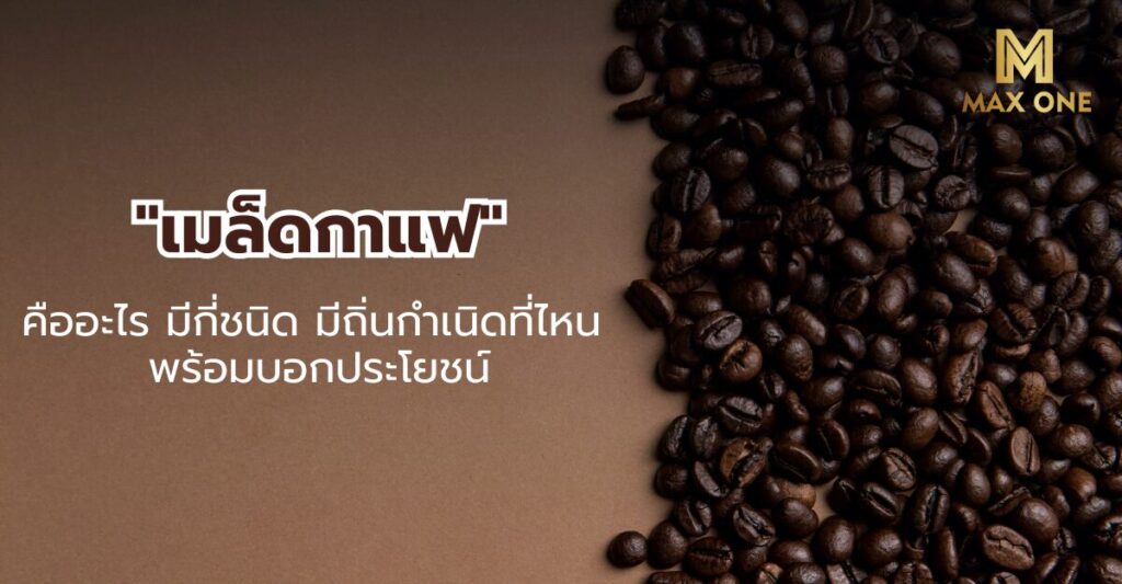เมล็ดกาแฟ คืออะไร มีกี่ชนิด มีถิ่นกำเนิดที่ไหน พร้อมบอกประโยชน์