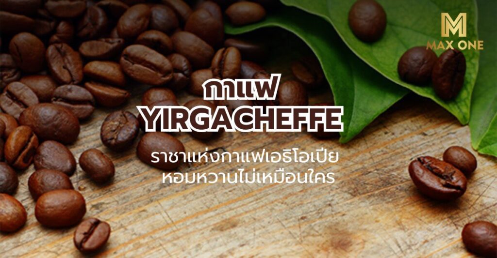 กาแฟ Yirgacheffe- ราชาแห่งกาแฟเอธิโอเปีย หอมหวานไม่เหมือนใคร